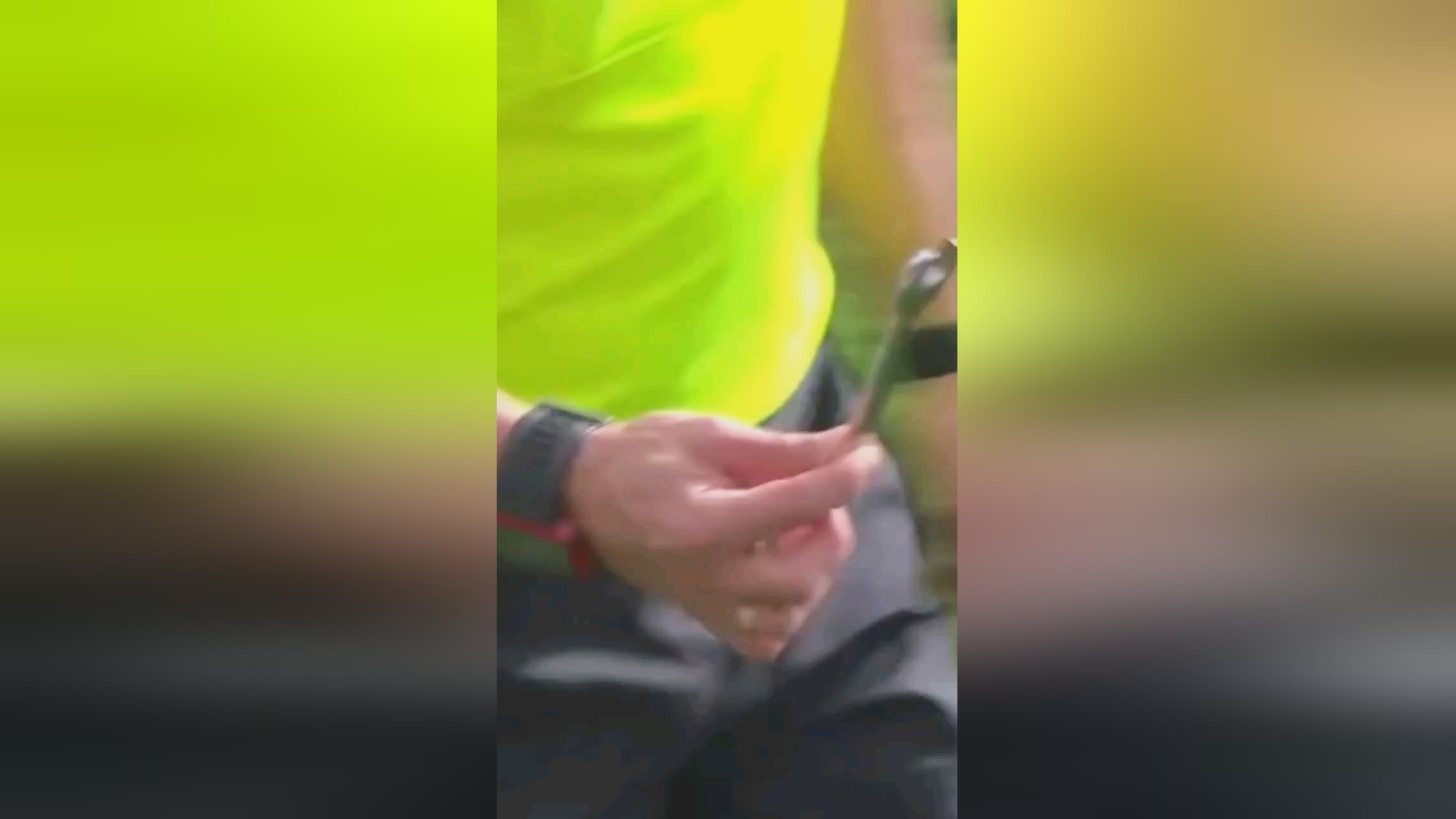 在更广